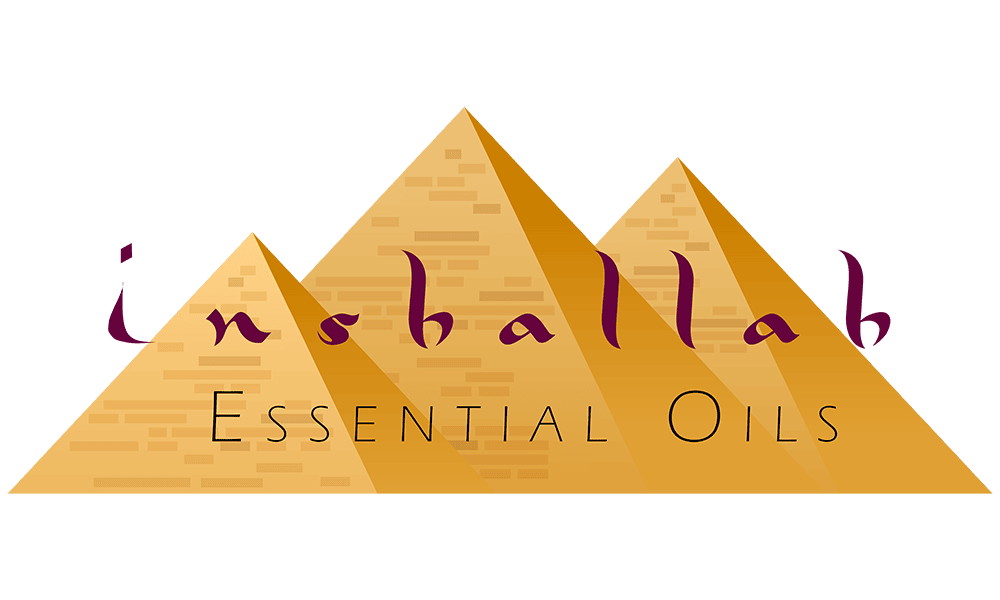 Inshalla EO Logo Email Header 1000p