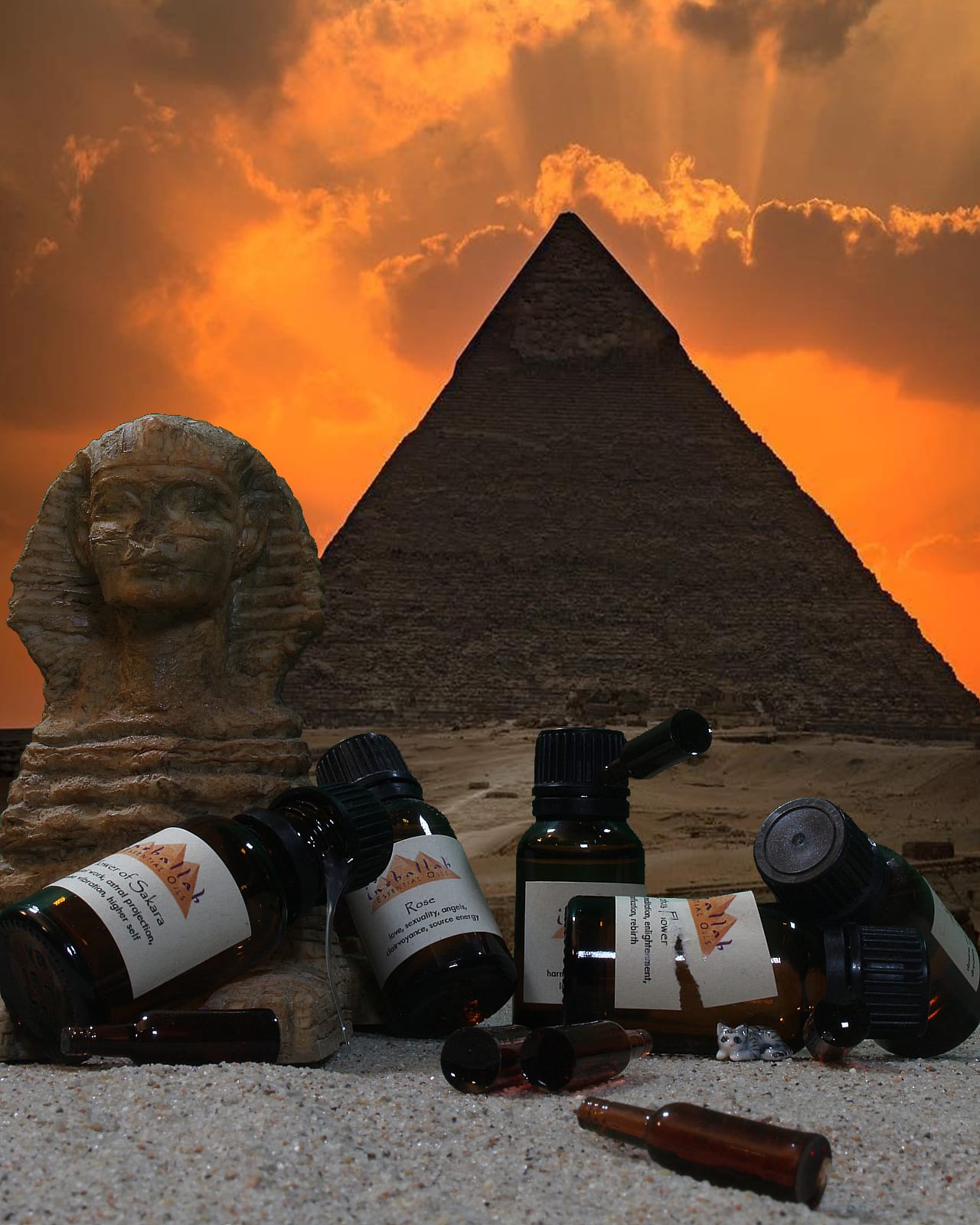 inshallah sphinx shit show instagram
