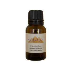 Eucalyptus Egyptian Essential Oil