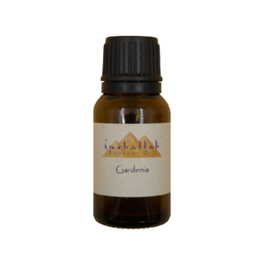 Gardenia Egyptian Essential Oil