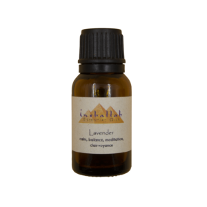 Lavender Egyptian Essential Oil